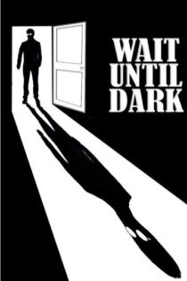 دانلود فیلم Wait Until Dark 1967 تا تاریکی صبر کن