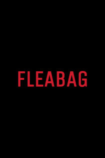 دانلود سریال Fleabag فلیبگ